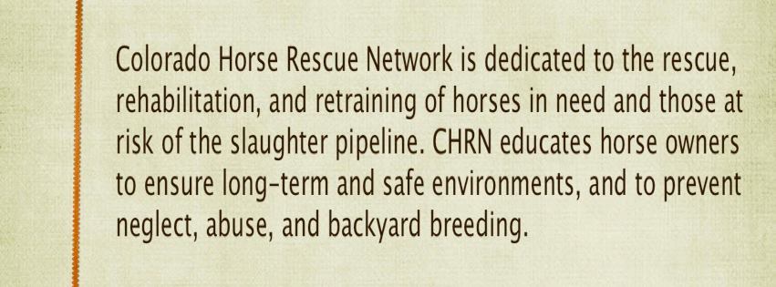 Get to know the Colorado Horse Rescue Network