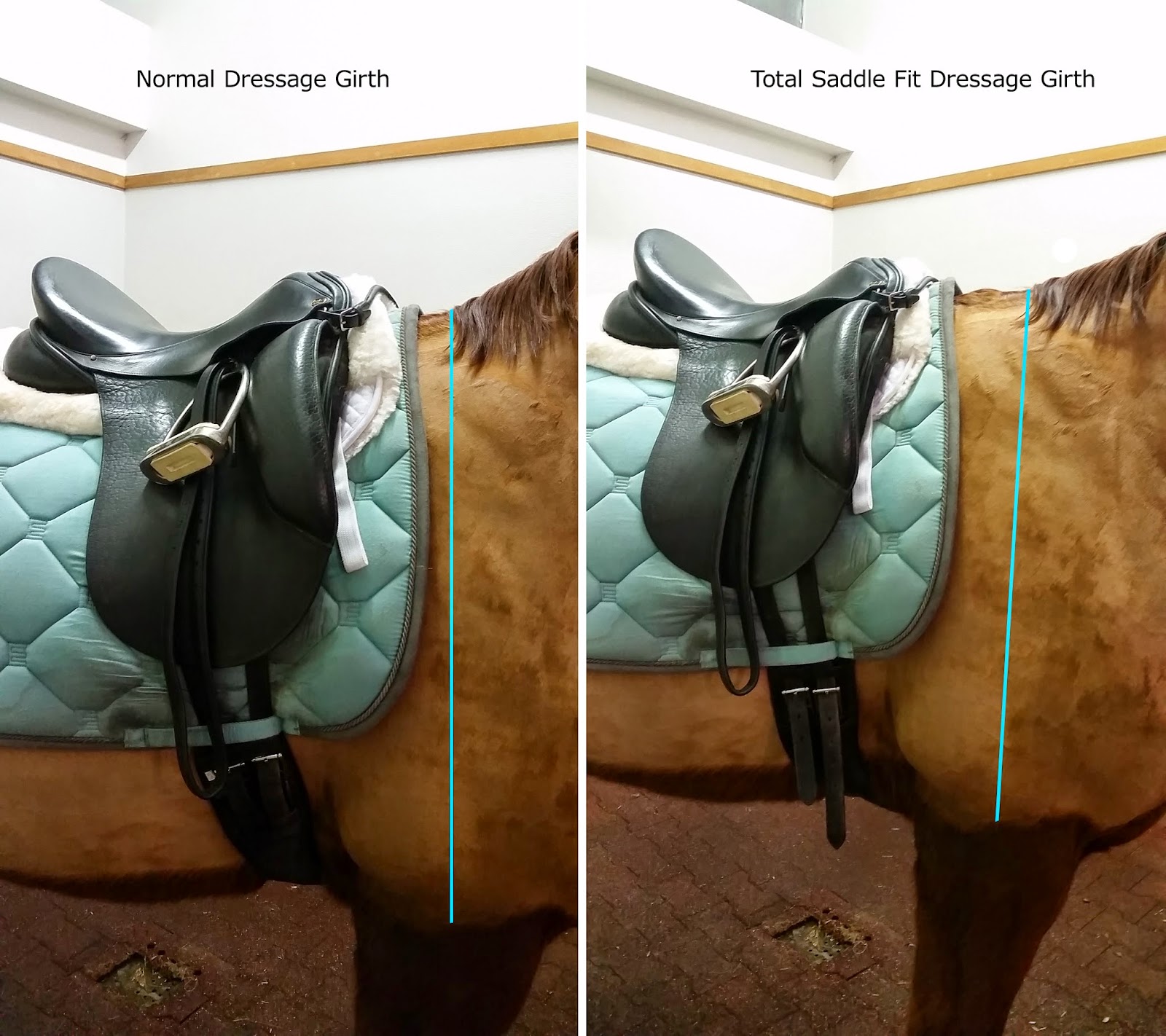 Total Saddle Fit Girth Review