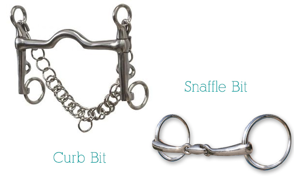 Snaffle Bit vs. Curb Bit
