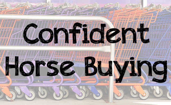 Horse Shopping & Buying Tips