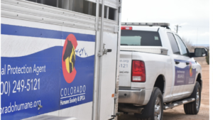 Colorado Horse Seizure