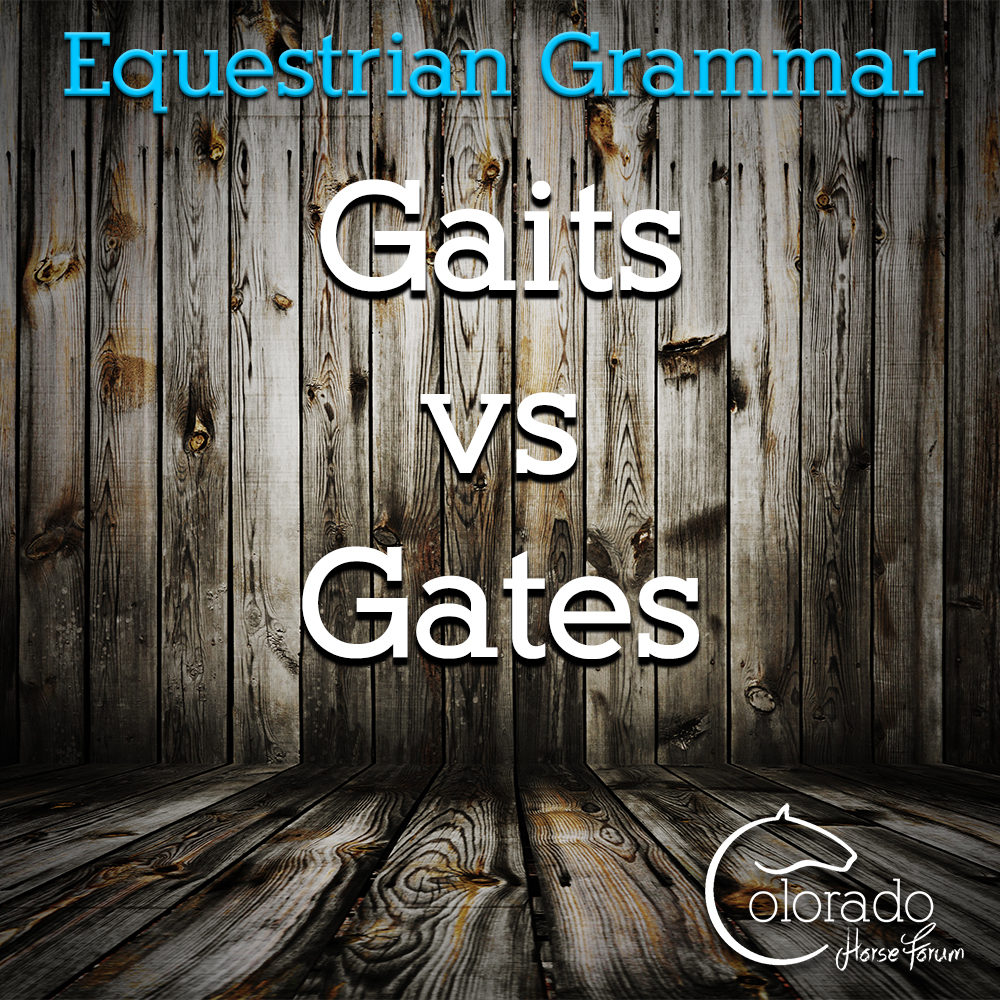 Equestrian Grammar Lesson: Gaits vs Gates