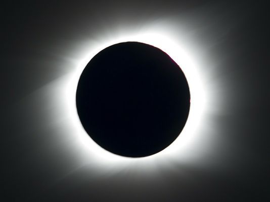 The Eclipse and my Equine: Will They Be OK?