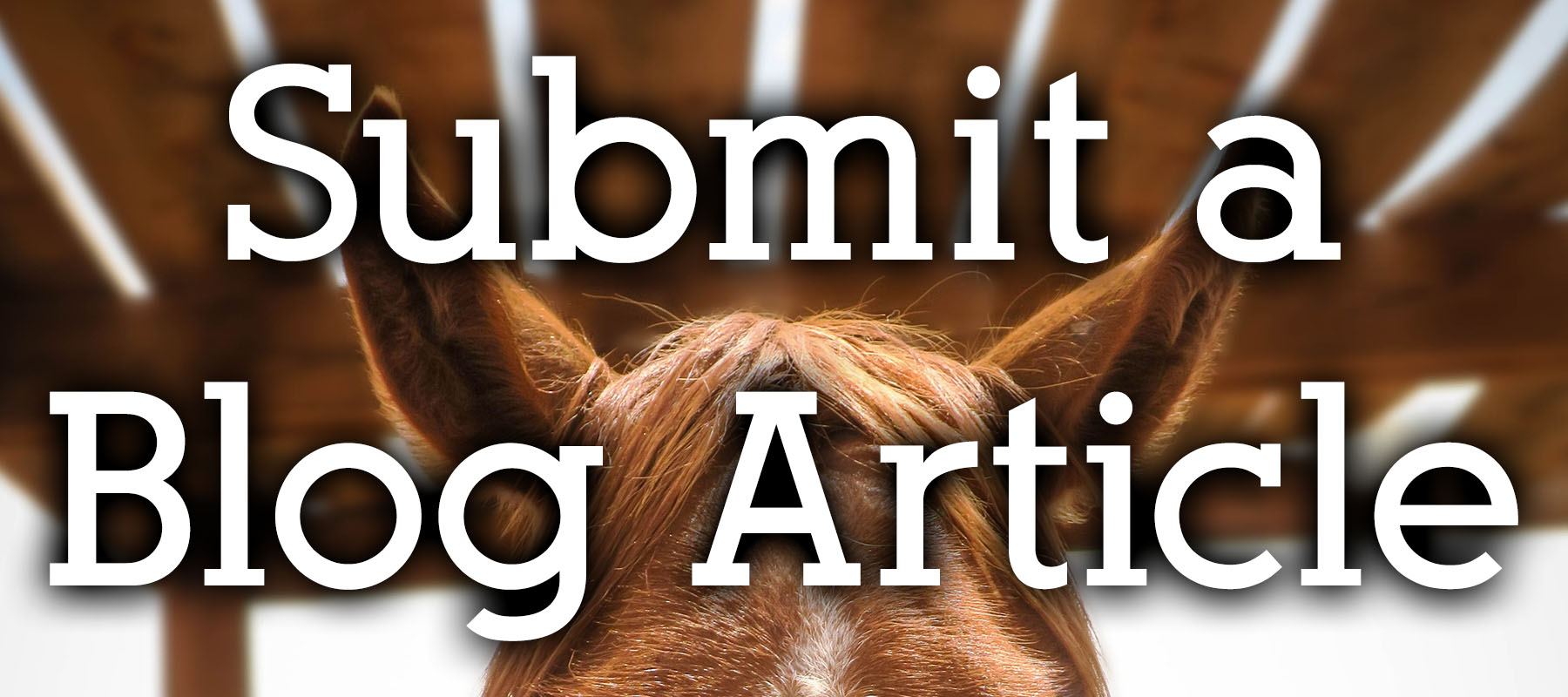 Submit a Blog Article to the Colorado Horse Forum