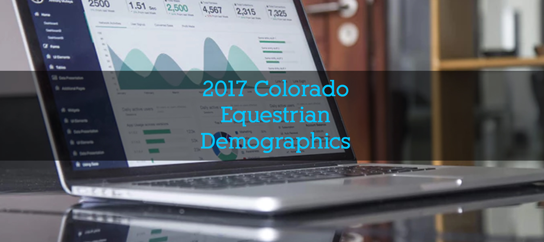 2017 Equestrian Demographics in Colorado