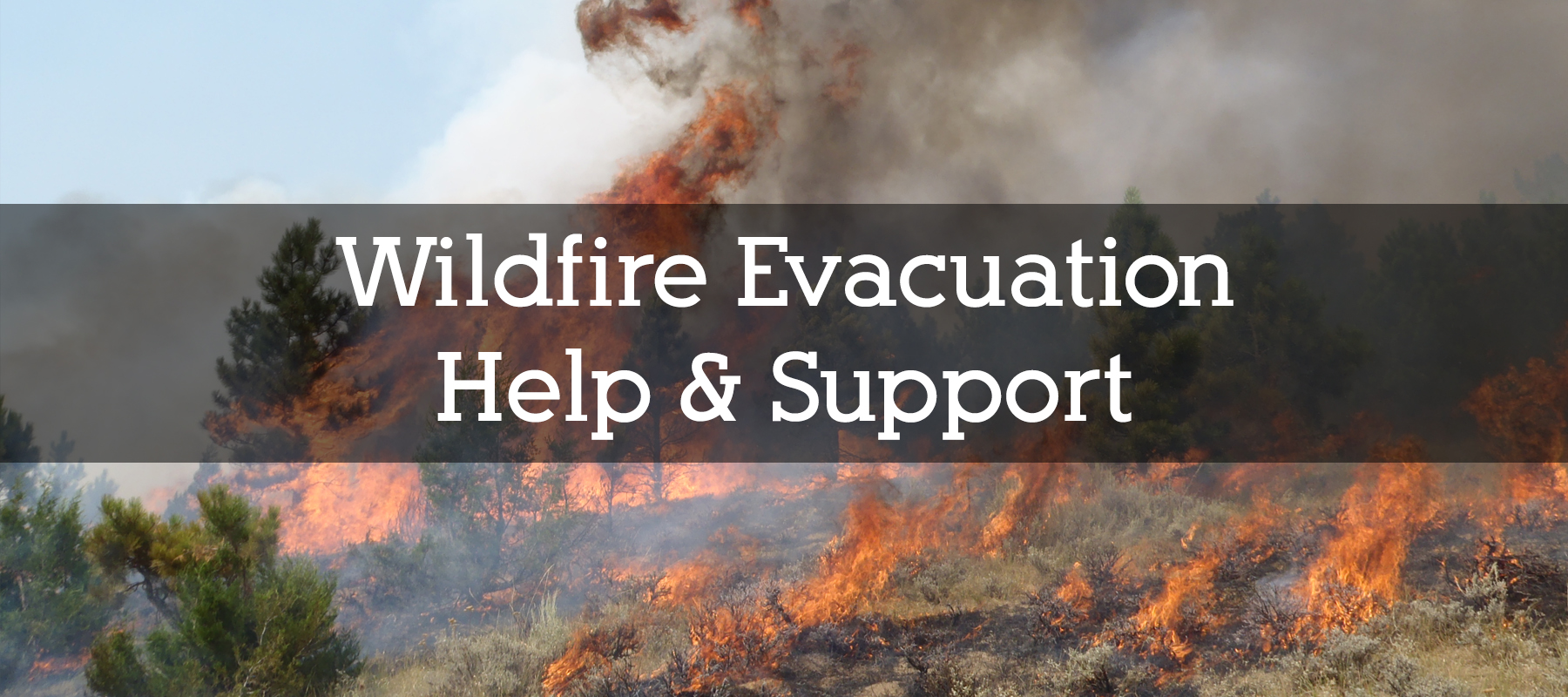 Stay Updated on Colorado Wildfire Evacuations