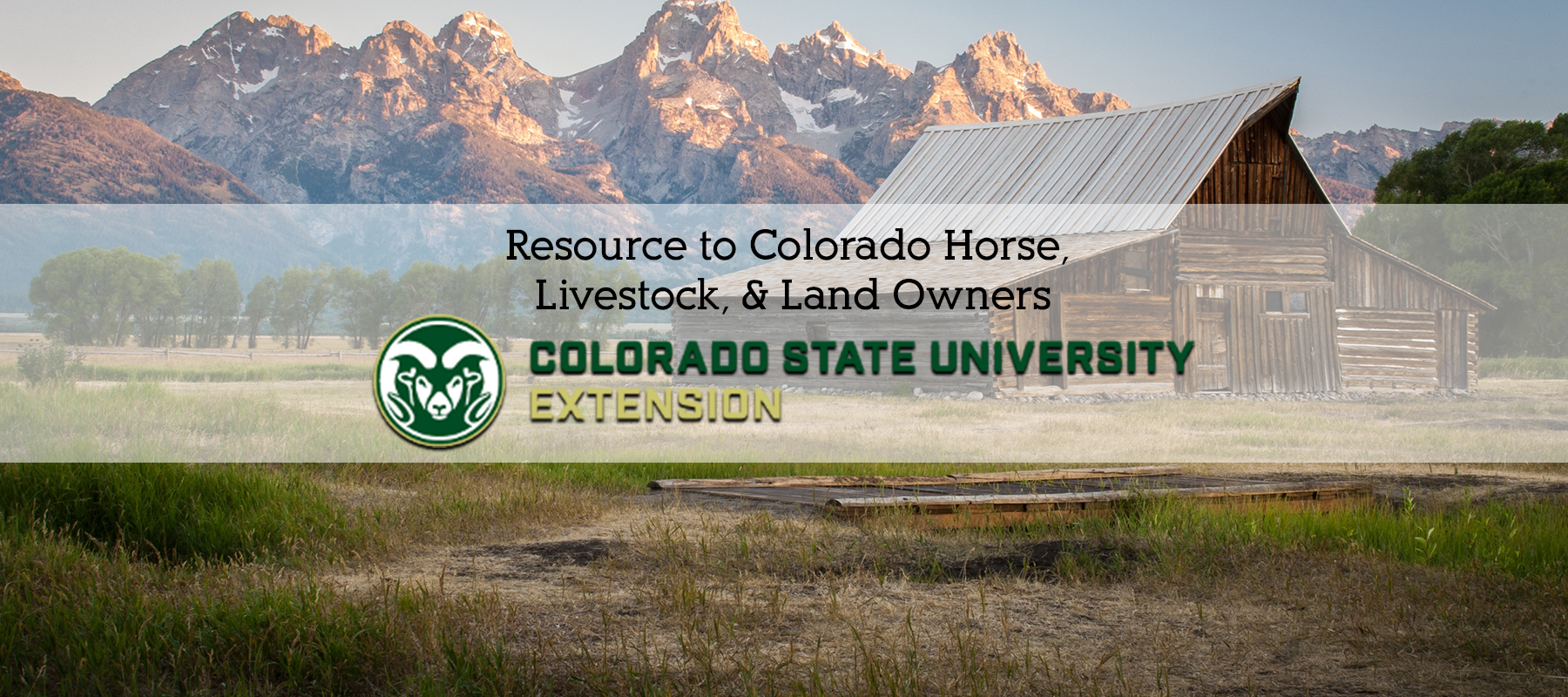 CSU Extension - Resource for Colorado Horse Owners