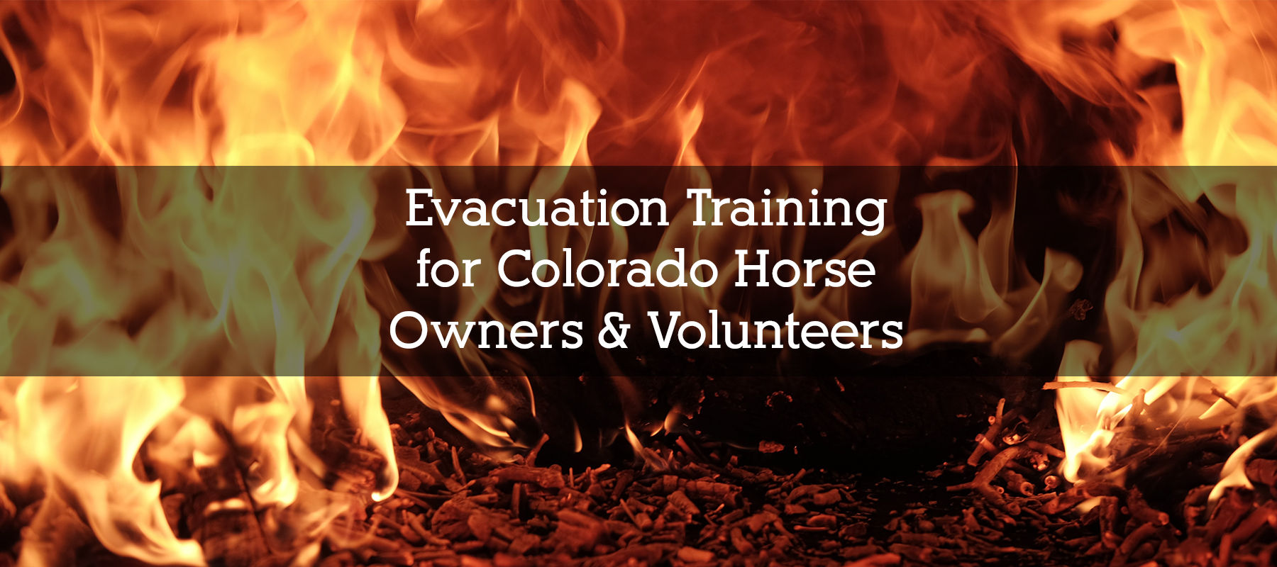 Evacuation Training for Colorado Horse Owners & Volunteers