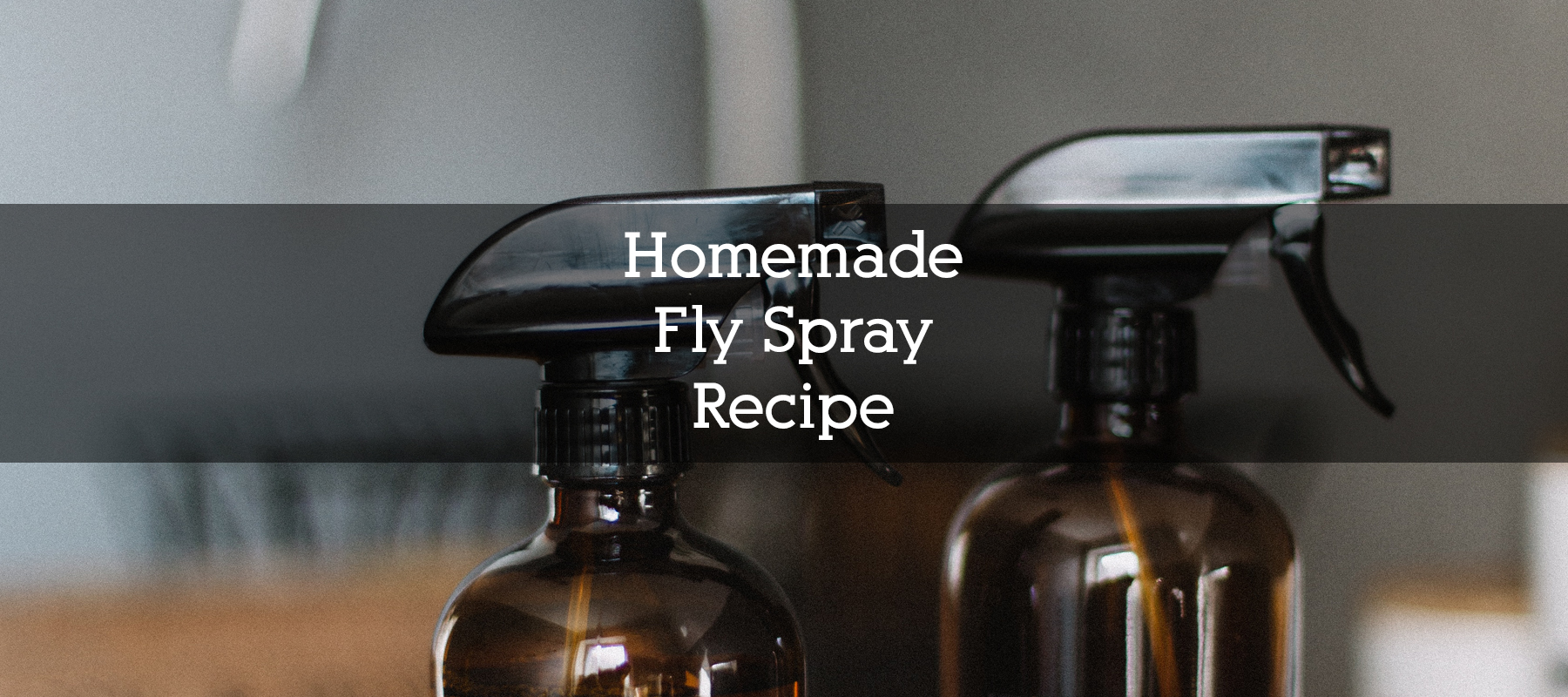 Homemade Flyspray Recipe
