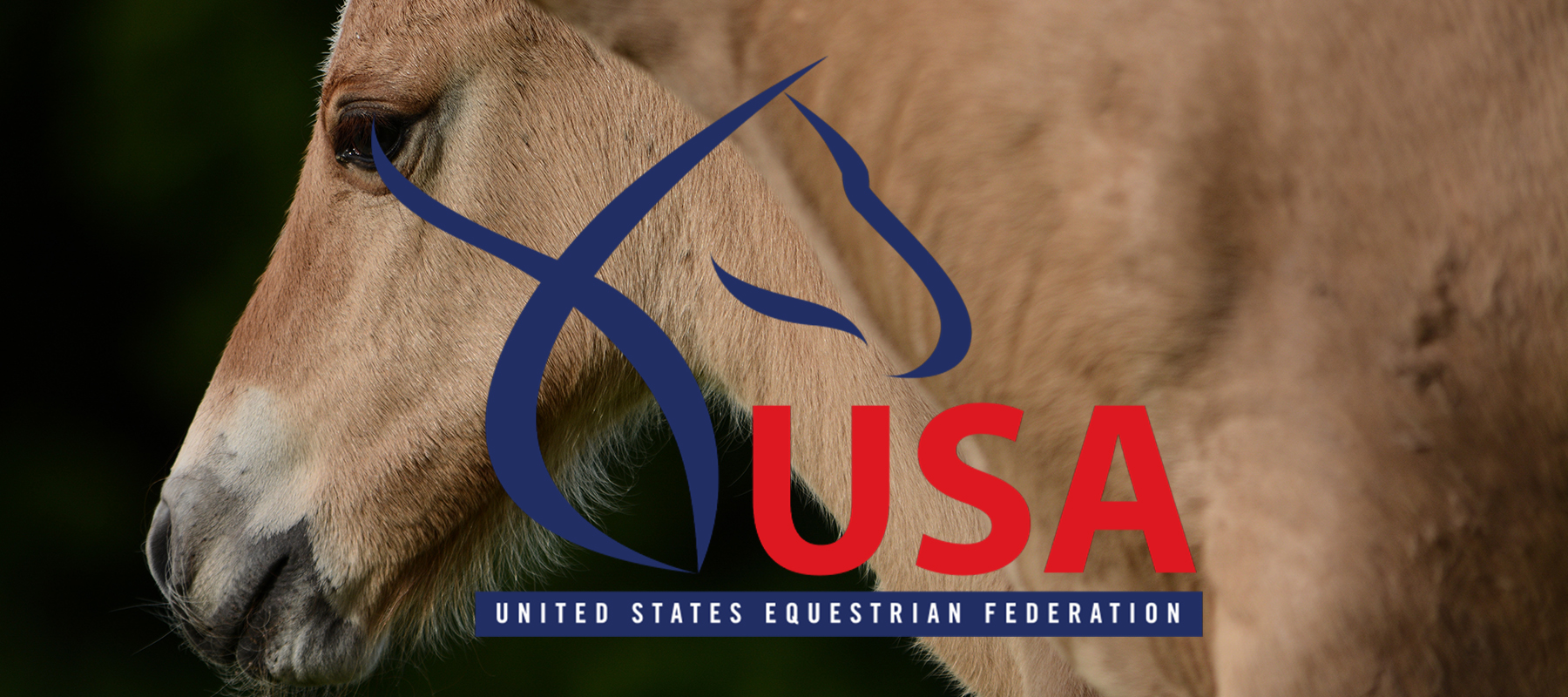 USEF Office Closed and All USEF Resources Unavailable August 30 to September 3