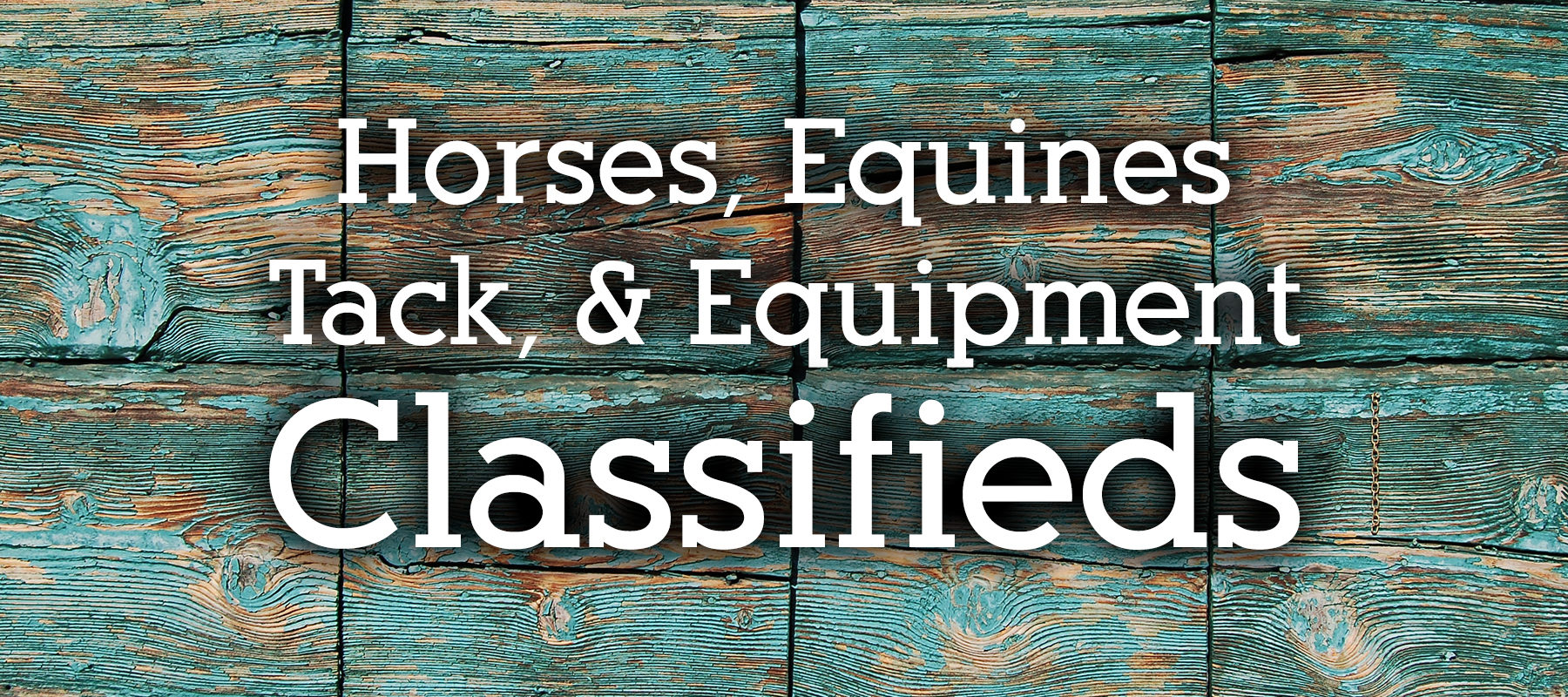 Classifieds for Horses, Equines, Tack, and Equipment in Colorado