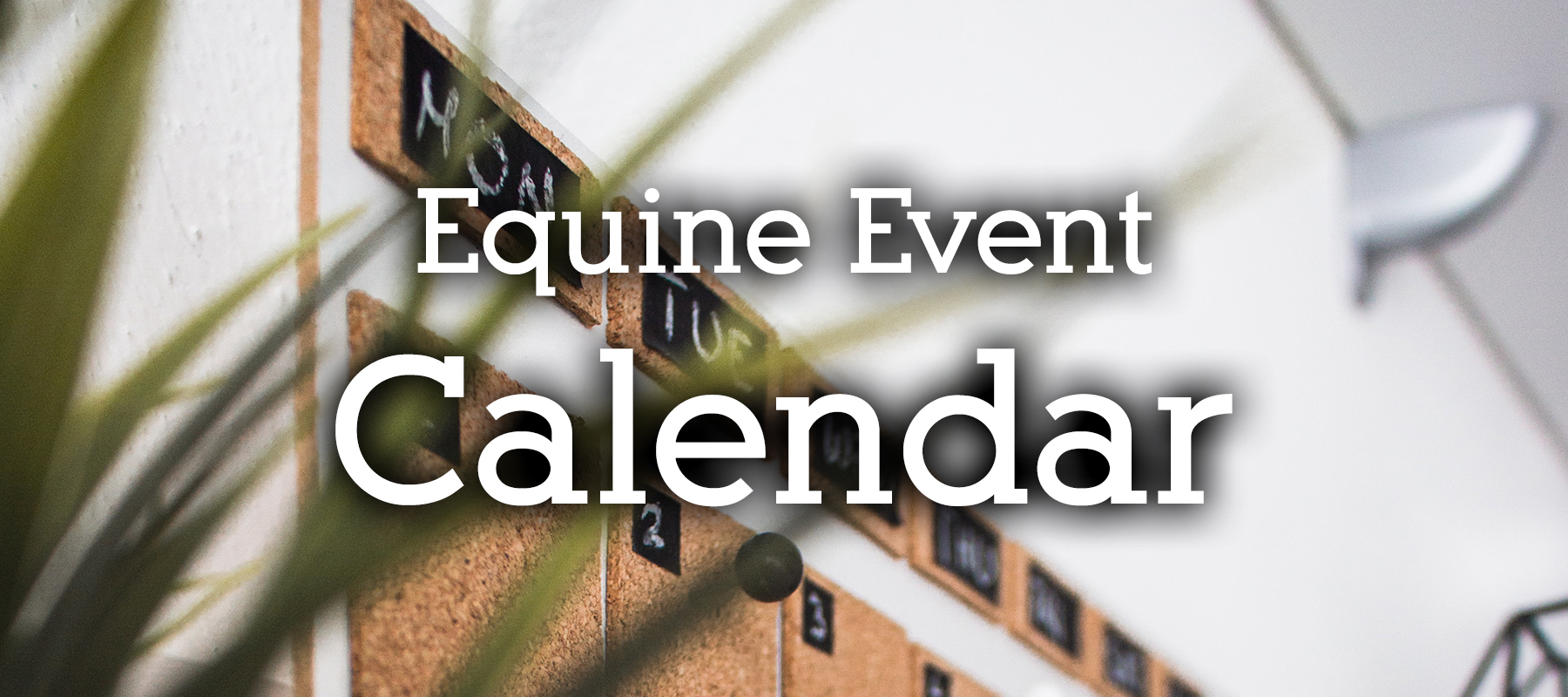 Equine Event Calendar in Colorado
