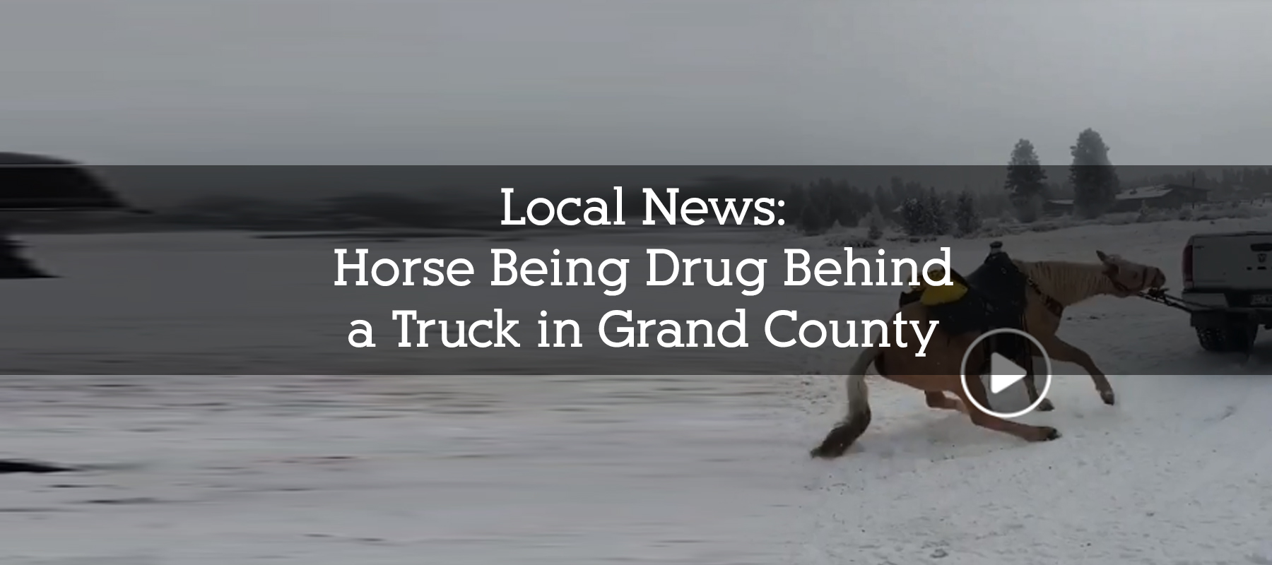 Horse Being Drug in Grand County