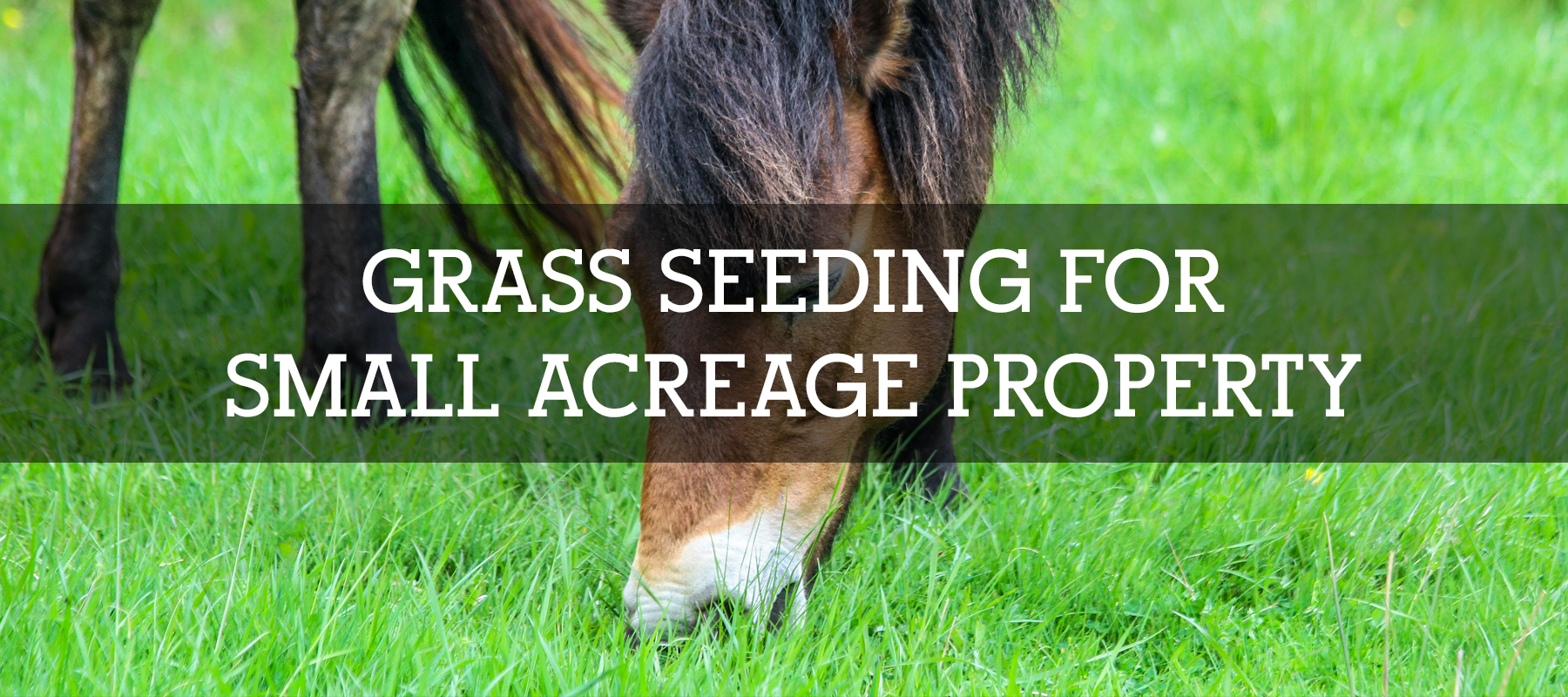 GRASS SEEDING FOR SMALL ACREAGE PROPERTY