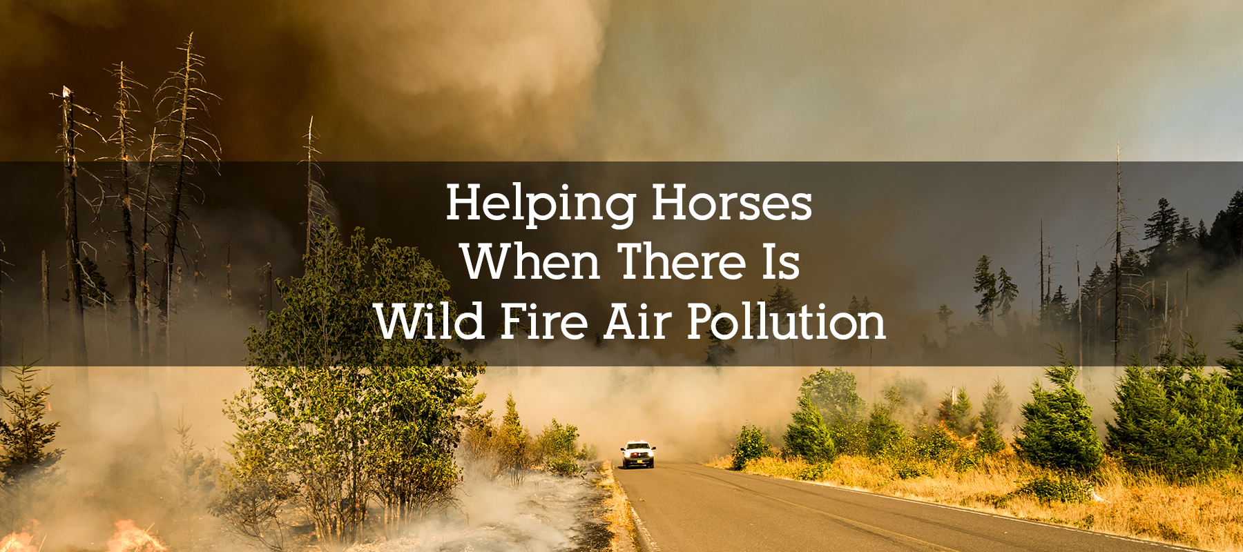 Helping Horsees with Wild Fire Air Pollution and Smoke
