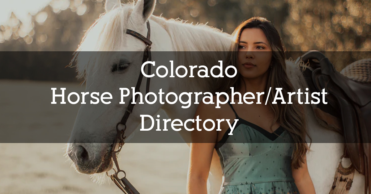 Colorado Horse Photographer and Artist Directory