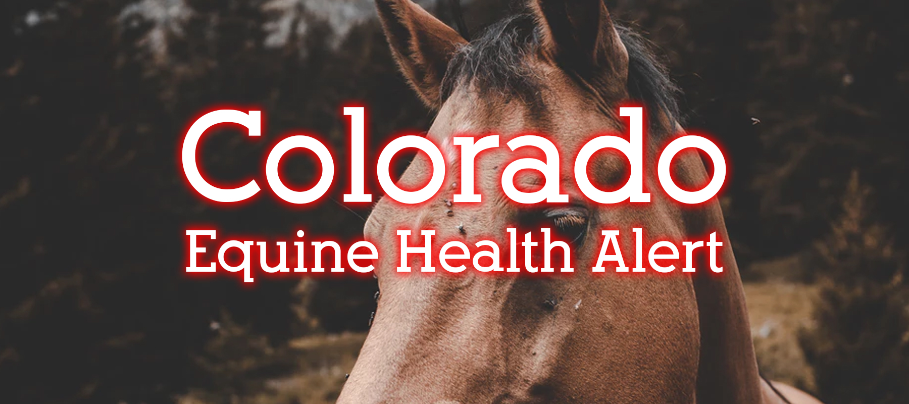 Colorado Equine Health Alert : West Nile Virus