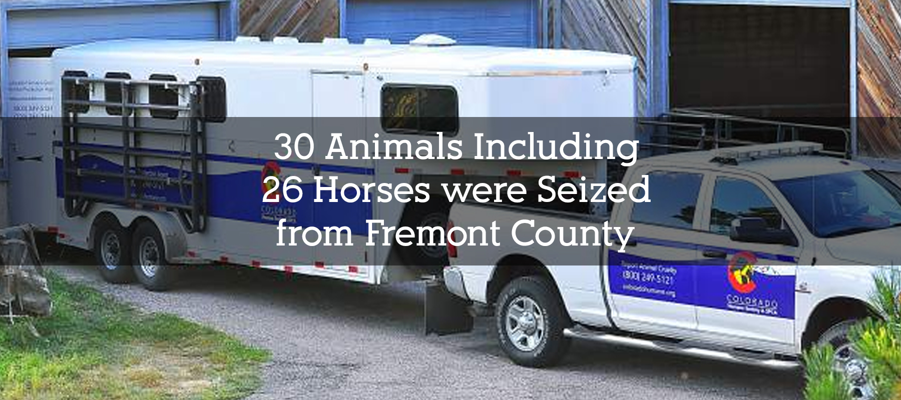 30 Animals Including 26 Horses were Seized from Fremont County Property