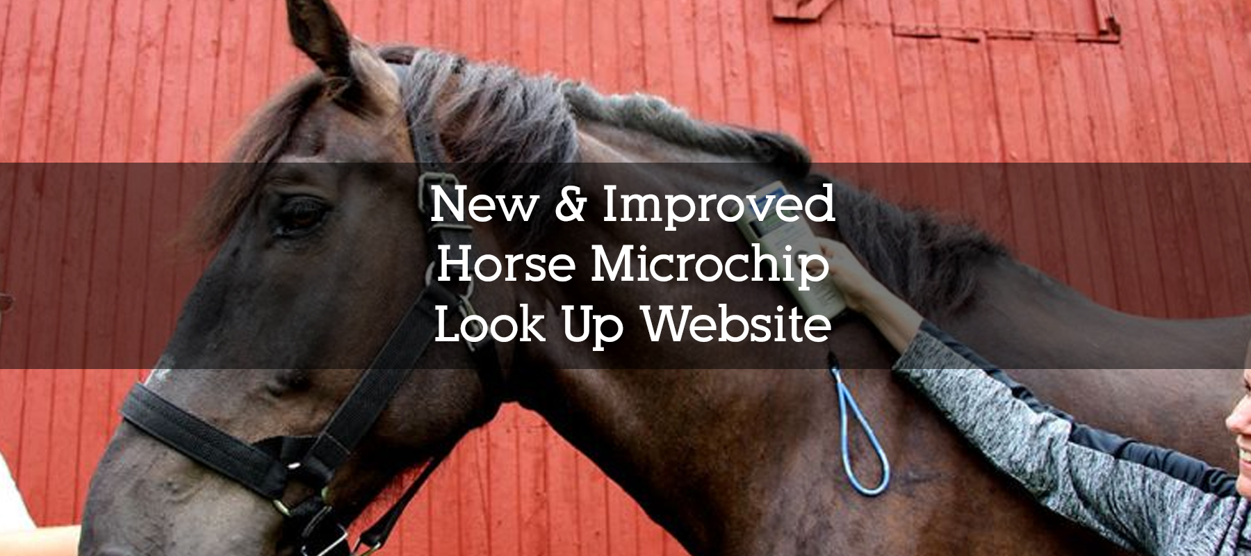 New & Improved Horse Microchip Look Up Website
