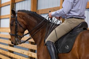 Focus on the Feel @ CH Equine |  |  | 