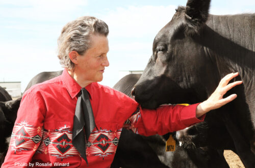 2023 Parade Grand Marshal, Temple Grandin