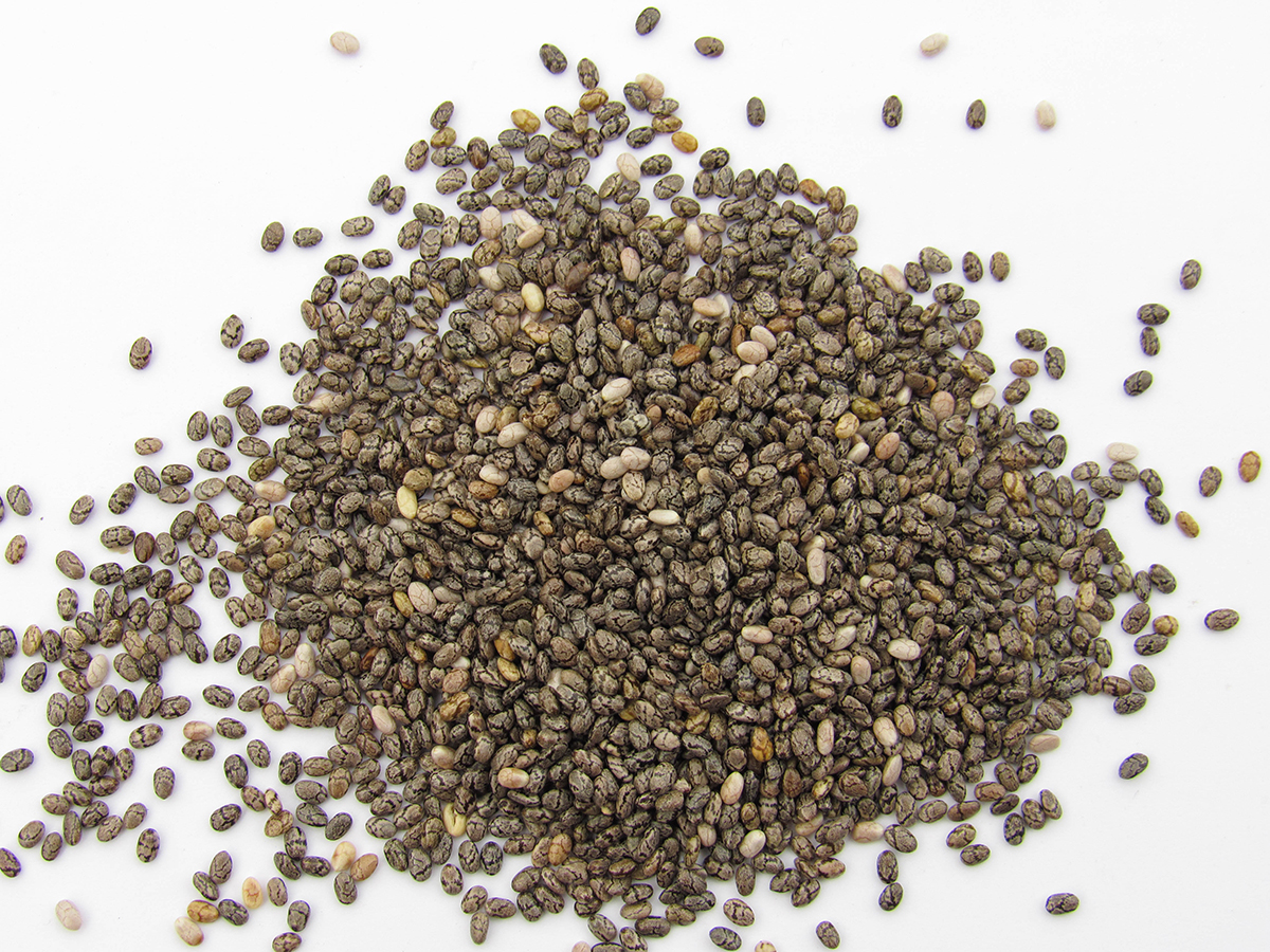 Chia Seeds: A Nutritional Powerhouse for Your Equine Companion