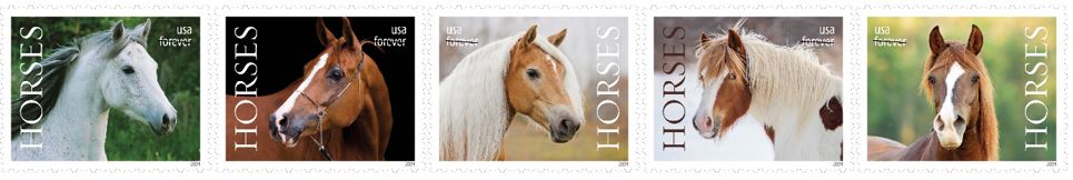 Horse Stamps coming in 2024 from USPS
