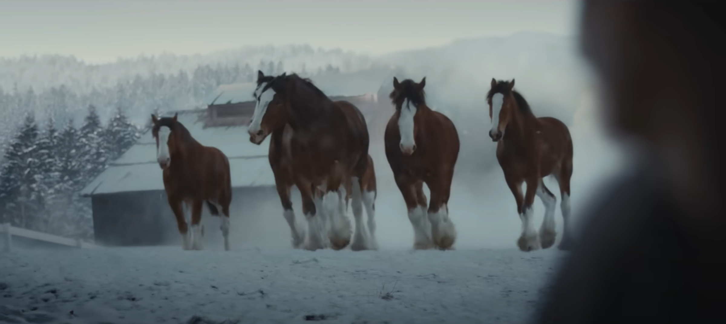 Sneak Peak: Super Bowl LVIII The Clydesdales Are Back
