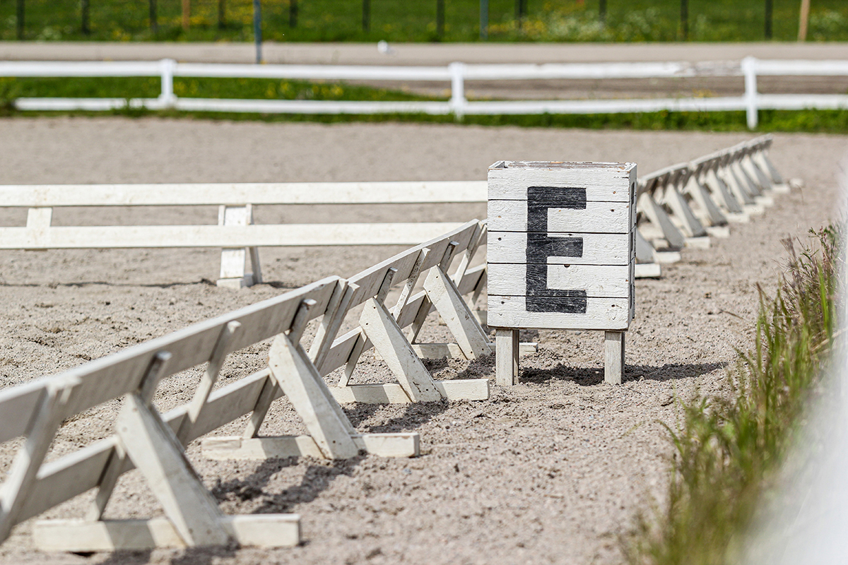 U.S. Dressage Announces Updates to Coaching Structure for High Performance and Pathway Programs