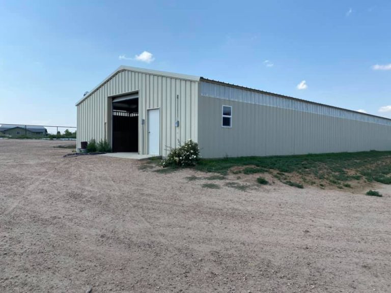 221282583 204062215071455 7007595668915641582 n 768x576