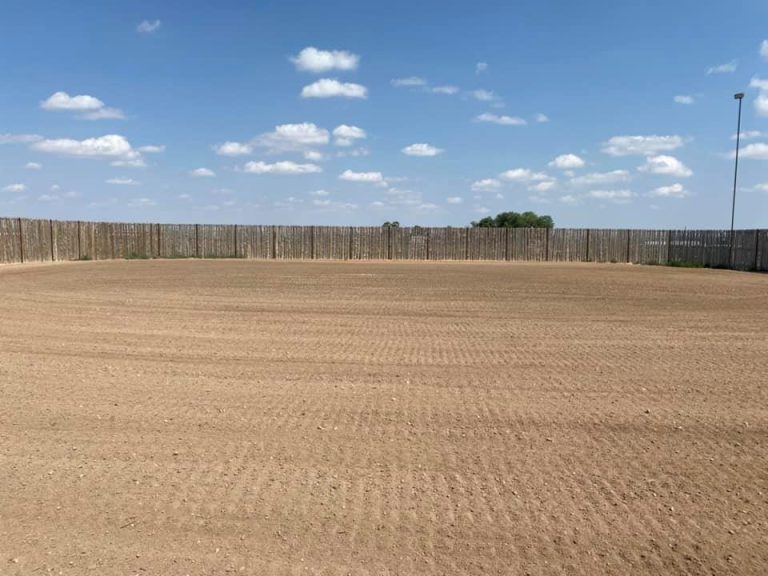 228315508 204062331738110 5034834378169080235 n 768x576