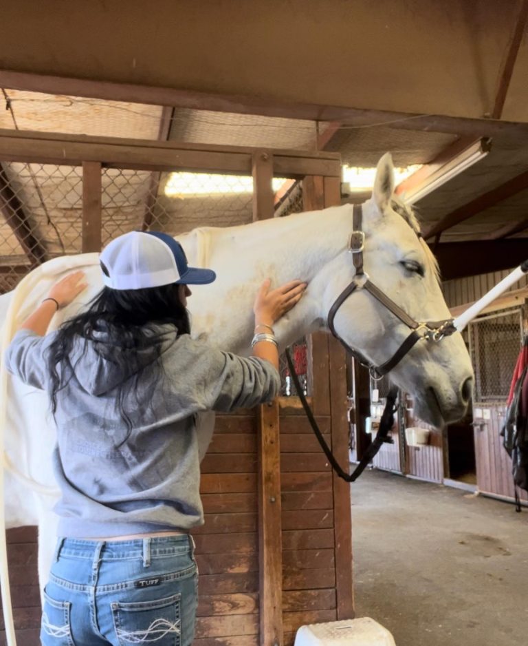 398864452 17980422392605287 7436884173721601549 n 768x938