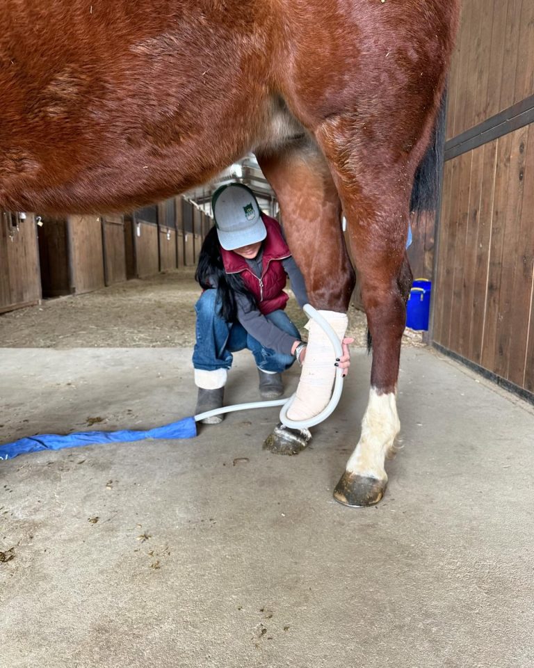 429551645 17996234795605287 3295987511377367535 n 768x960