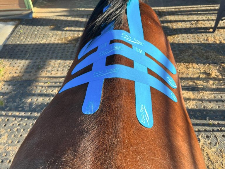 435674466 18001312376605287 1225081084326615129 n 768x579