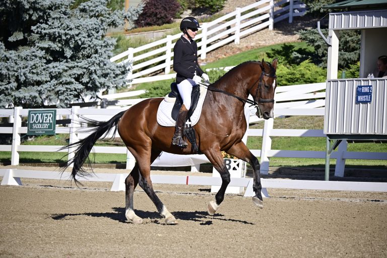 Horse Show Photographer in Colorado 11 768x512