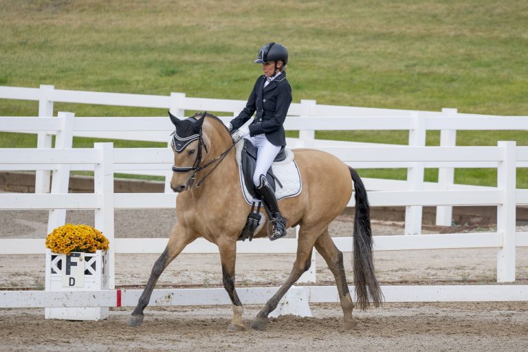 Horse Show Photographer in Colorado 22 768x512