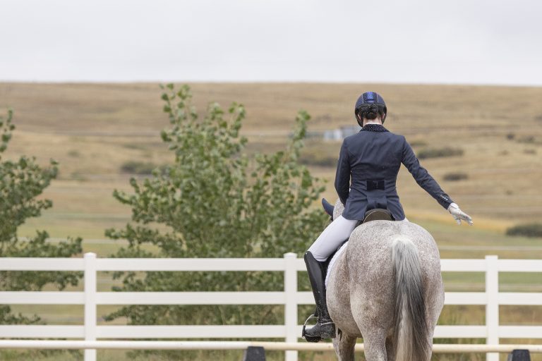 Horse Show Photographer in Colorado 23 768x512
