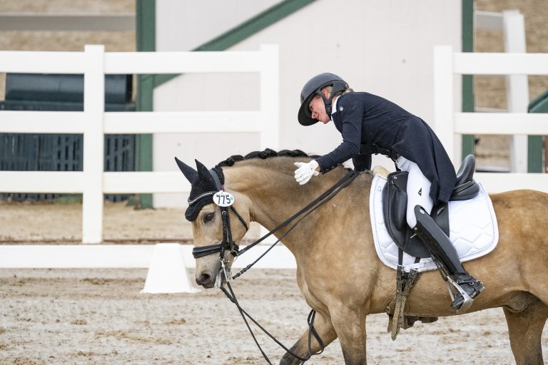 Horse Show Photographer in Colorado 28 768x512