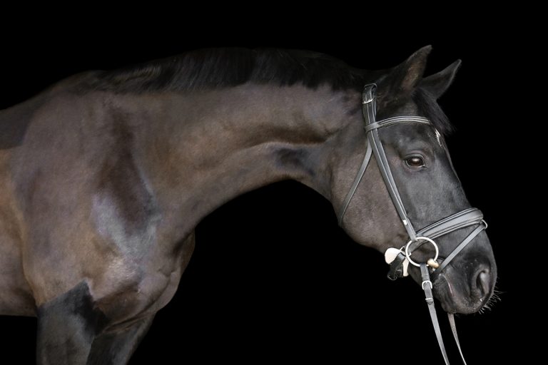 Looking Right 11 2 cropped copy 768x512