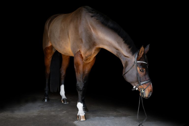 UNA1400 copy 768x512