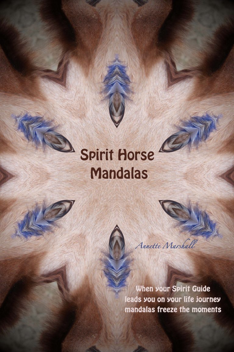 Spirit Horse Mandala Book Coming soon