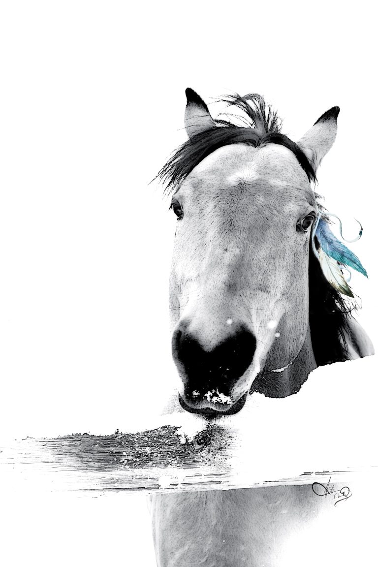 Spirit Horse B&W Digital Illustration