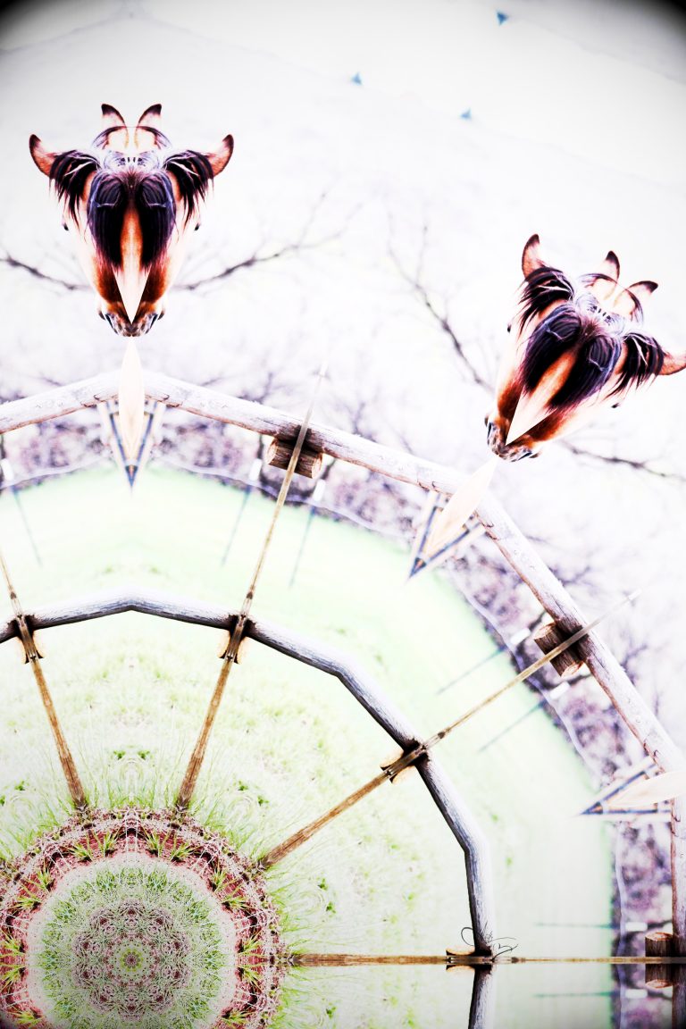 IMG 1549 Mandala.download 768x1152