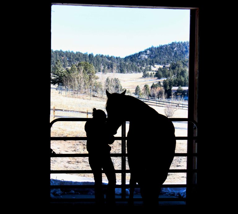 IMG 8787.silhouette.header 768x691