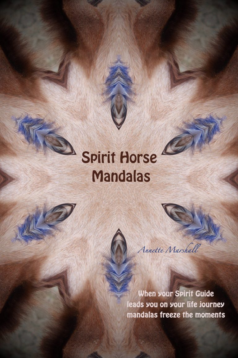 Spirit Horse Mandala.small  768x1152