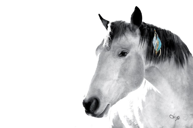 Spirit Horse.IMG 8885.download 768x512