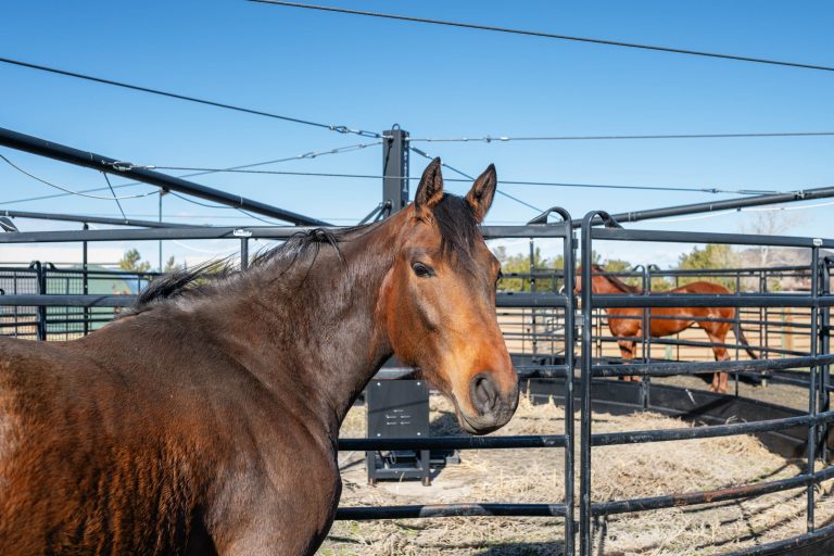 084 1050 South Manila Road 084 768x512