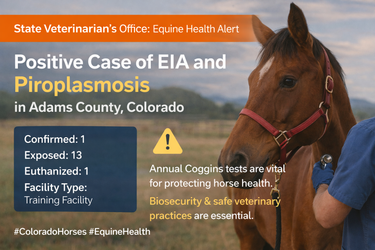 Confirmed Case of EIA and Piroplasmosis in Adams County, Colorado