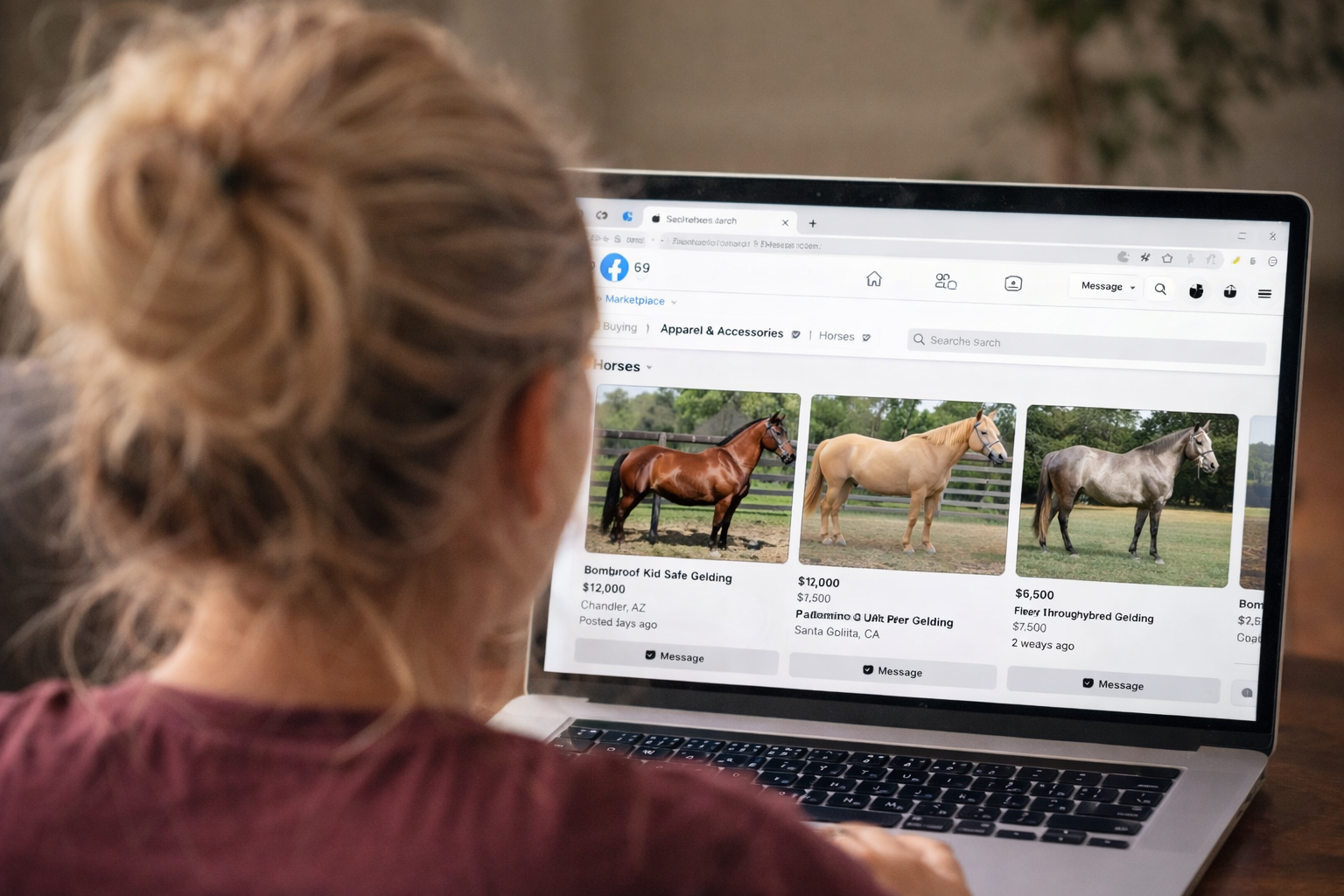 How to Avoid Scams When Buying Horses or Tack Online