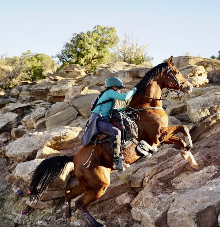 20260302 171239 768x793